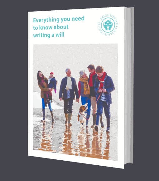 Everything you need to know about will writing ebook